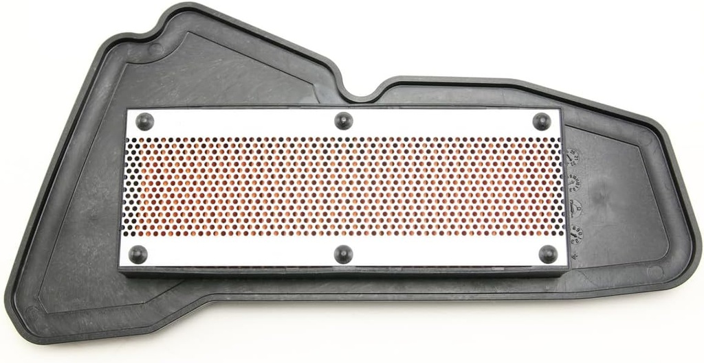 DELİGHT 125 HAVA FİLTRESİ - Resim 3