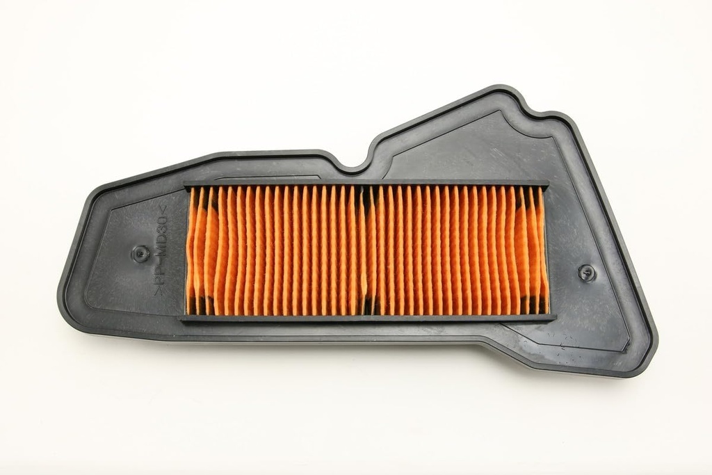 DELİGHT 125 HAVA FİLTRESİ - Resim 4