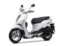 YAMAHA DELİGHT 115 12.000 KM. BAKIM KİTİ - Resim 2