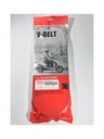 BWS 125 VARYATÖR KAYIŞI