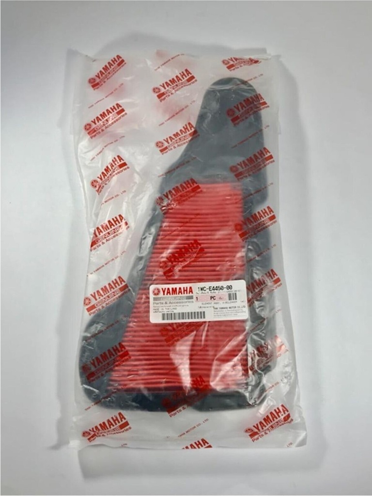 DELİGHT 115 HAVA FİLTRESİ