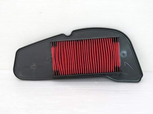 RAYZR 125 HAVA FİLTRESİ