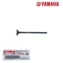 YAMAHA YZF R25 MT25 EGZOZ SUBABI 2021-2026